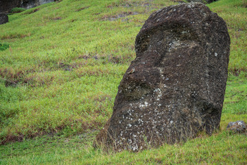 Moai on the ground and sparrow on the nose