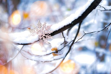 Christmas snowflake on the snowy branch.