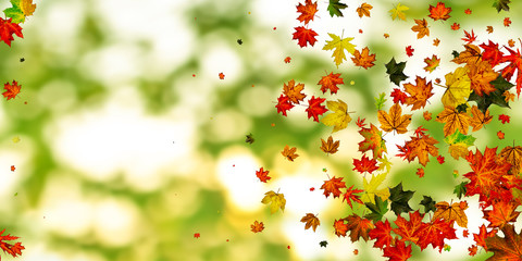 Leaves pattern. October abstract falling background. Autumn concept