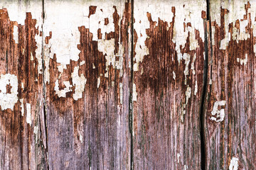 Obraz premium colorful, rough, structural, bright texture and the basis for the design background. Basics design template