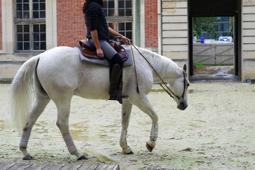 Entraînement à la monte western