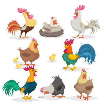 Cute cartoon chickens set. Roosters and hens in different poses. Little chicks. Farm birds and animals collection. Vector illustrations in comic style.
