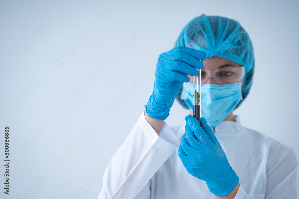 Wall mural laborant woman holding test tube with soil and plant, making laboratory research