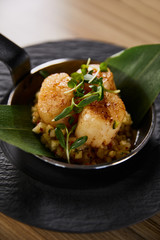 delicious grilled scallops with green leaves and microgreens on wooden table
