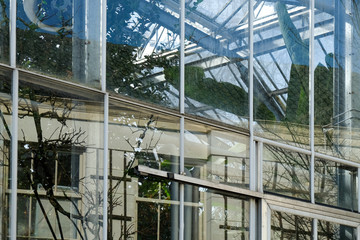 greenhouse with plants - botanical garden Amsterdam