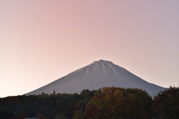Fototapeta premium 富士山