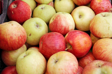Red and green autumn apples. Apples pattern. Fruits