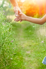 hands of parent and child in nature