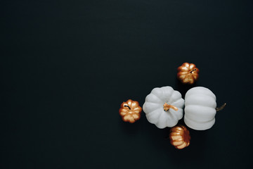 white small pumpkins on a black background