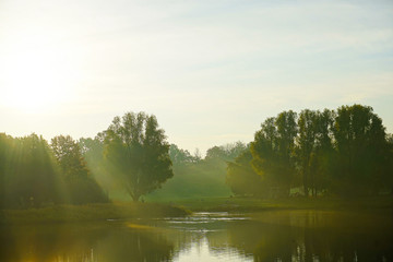 beautiful lakeside with trees and refelctions in autumn