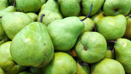 Green ripe pears