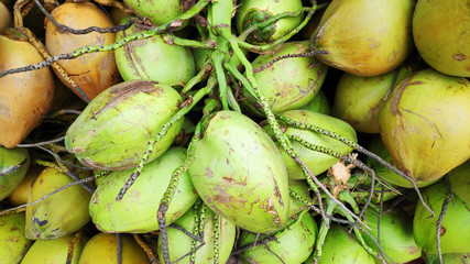 Green coconuts are ready to sell