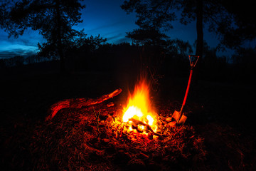 food and drink near a big fire in the night forest