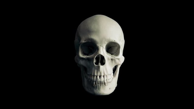 Fire Mouth Skull Eats Camera - 4 Versions
