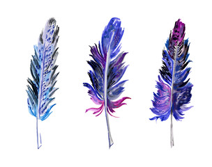 Set of watercolor feathers on an isolated white background. Blue, turquoise, lilac feathers.
