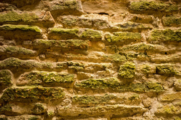 Background of an ancient wall made of natural stone on which moss grows.