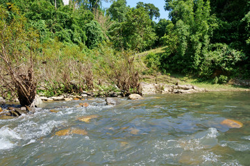River and the path are in the forest