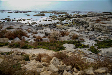 Берег Каспия