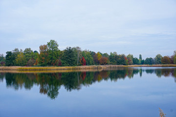 Obraz premium beautiful lakeside with trees and refelctions in autumn