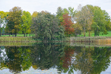 beautiful lakeside with trees and refelctions in autumn