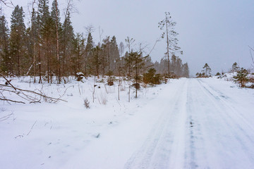 straight rural road in snow through a winter field