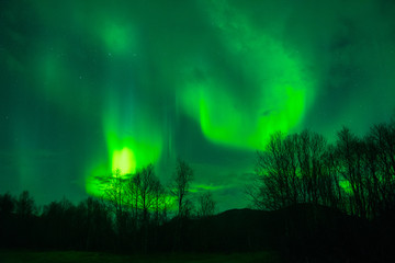 amazing northern lights at norvegian night