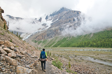 Fototapeta premium Berg lake trail in Mt. Robson provincial park
