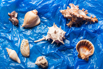 Obraz na płótnie Canvas seashell blue garbage package background 