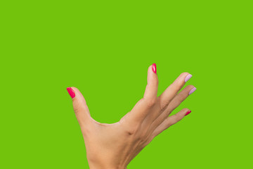 Closeup view of beautiful white female hand making gesture as if holding something big between two fingers. Nails with trendy stylish bright manciure. Hand isolated on green chromakey background. 