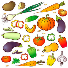 vector hand drawn realistic vegetables set isolated on white background. Tomato, pumpkin, pepper. colorful veggies icon collection. vintage greens sketch for logo, farm market or package design, menu