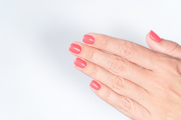 Closeup top view of bright pink modern trendy manicure made with trendy gelpolish by professional manicurist at beauty spa salon. Female hands isolated on white background. Horizontal color photo.