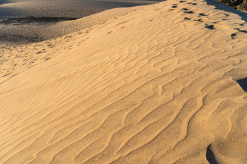 Sand dunes of Maspalomas nature reserve