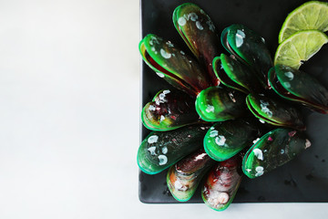 close up plate of green oyster or shellfish, fresh seafood for costumers, copy space