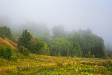 Fototapeta na wymiar Beautiful foggy early morning countryside rural background. Autumn trees and grass growing at hills and old wooden fence hiding among tall grass. Horizontal color photography.