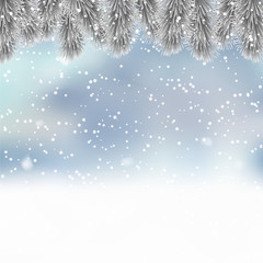 Fototapeta na wymiar Christmas background with branch of pine and snow. Vector