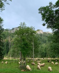 beautiful mountain landscapes climbing trekking walk tourism Zakopane Poland Slovakia Tatry