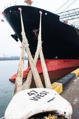 Conartinerschiff vor Anker im Hafen