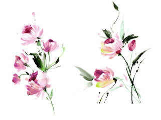 Flowers watercolor illustration.Manual composition.Big Set watercolor elements. - 300886019