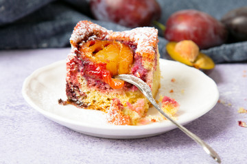 Tasty plum cake with pieces of fruit and powdered sugar on a light background
