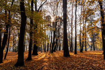  Park Konstytucji 3 Maja w Białymstoku, Jesień w parku Zwierzynieckim, Białystok, Podlasie