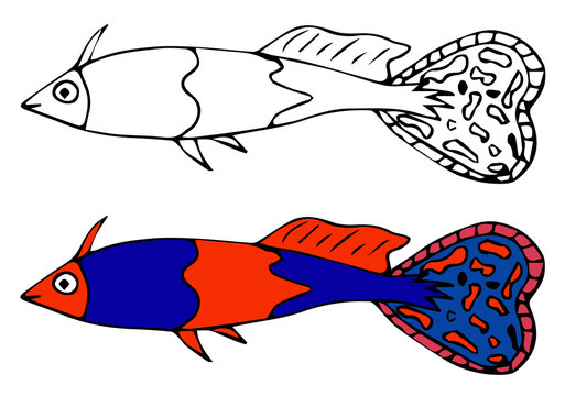 Editable fish symbol icon color, colorful fish template. Vector doodle.