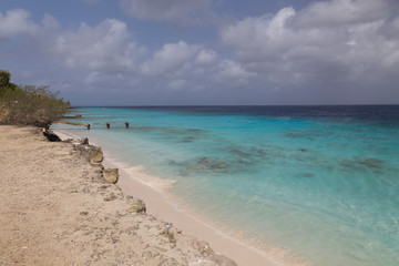 Fototapeta premium sea beach coast tropical Bonaire island Caribbean sea