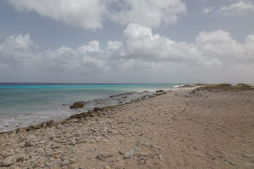 Fototapeta premium sea beach coast tropical Bonaire island Caribbean sea