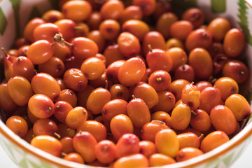 close up view of ripe berries of sea buckthorn