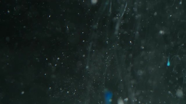 White Pill Dissolve