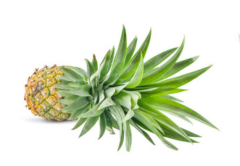 single whole pineapple isolated on white background