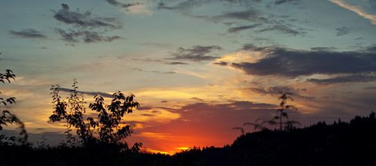 Sunset on nature. The sky is glowing with colorful hues. Silhouettes of trees and shrubs in the foreground.