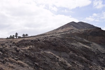 Beautiful landscape with an isolated hill and palm trees (Madeira, Portugal, Europe)