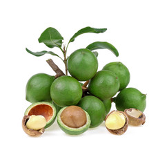 macadamia nuts isolated on white background.