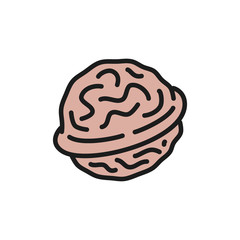 Vector walnut flat color icon. Isolated on white background